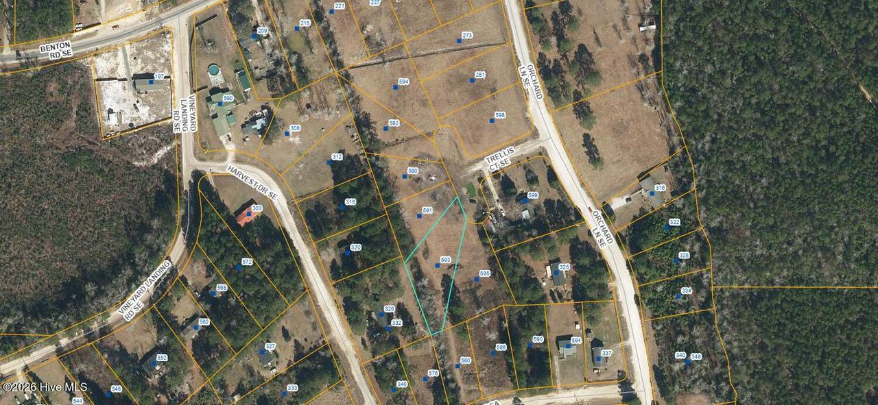 593 Trellis Court - Photo 1