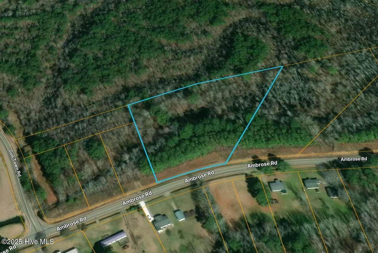 0 Ambrose Road - Photo 1