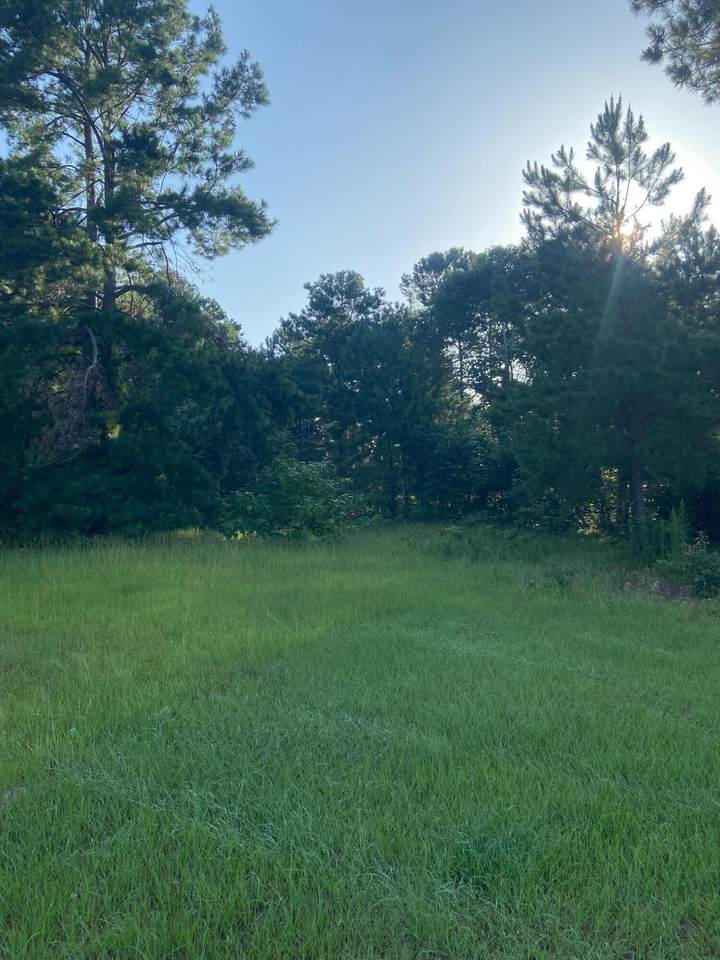 749 Bennock Mill Road - Photo 1