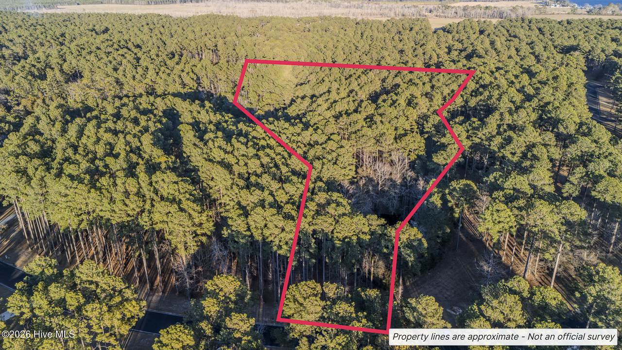 88 Cape Hatteras Point - Photo 1