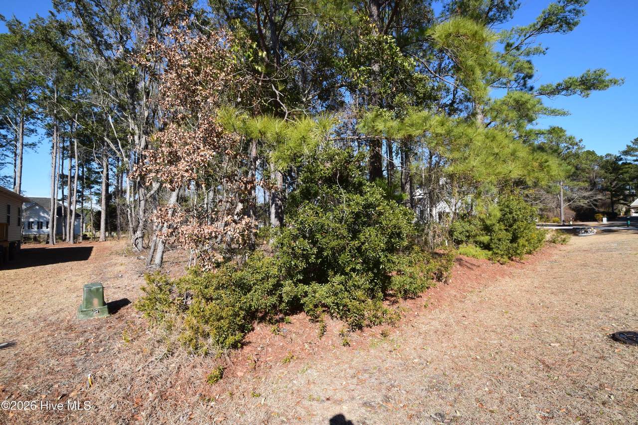 917 Sea Holly Court - Photo 1