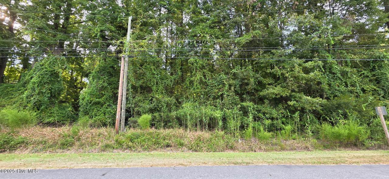 0 Fairway Drive - Photo 1