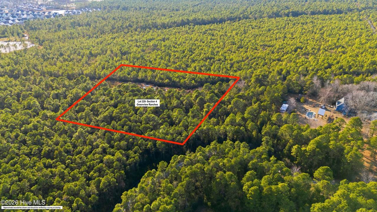 5.5 Ac Plantation Road - Photo 1