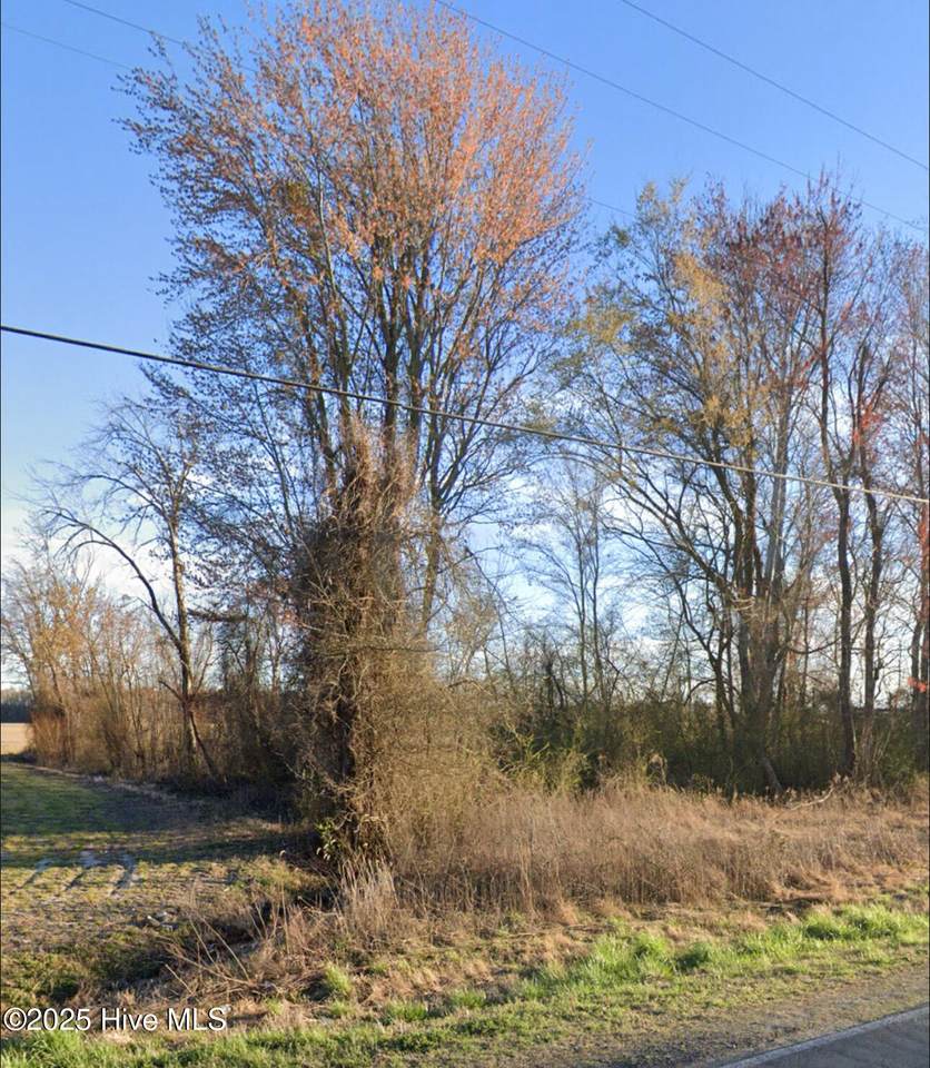 1464 Millpond Road - Photo 1