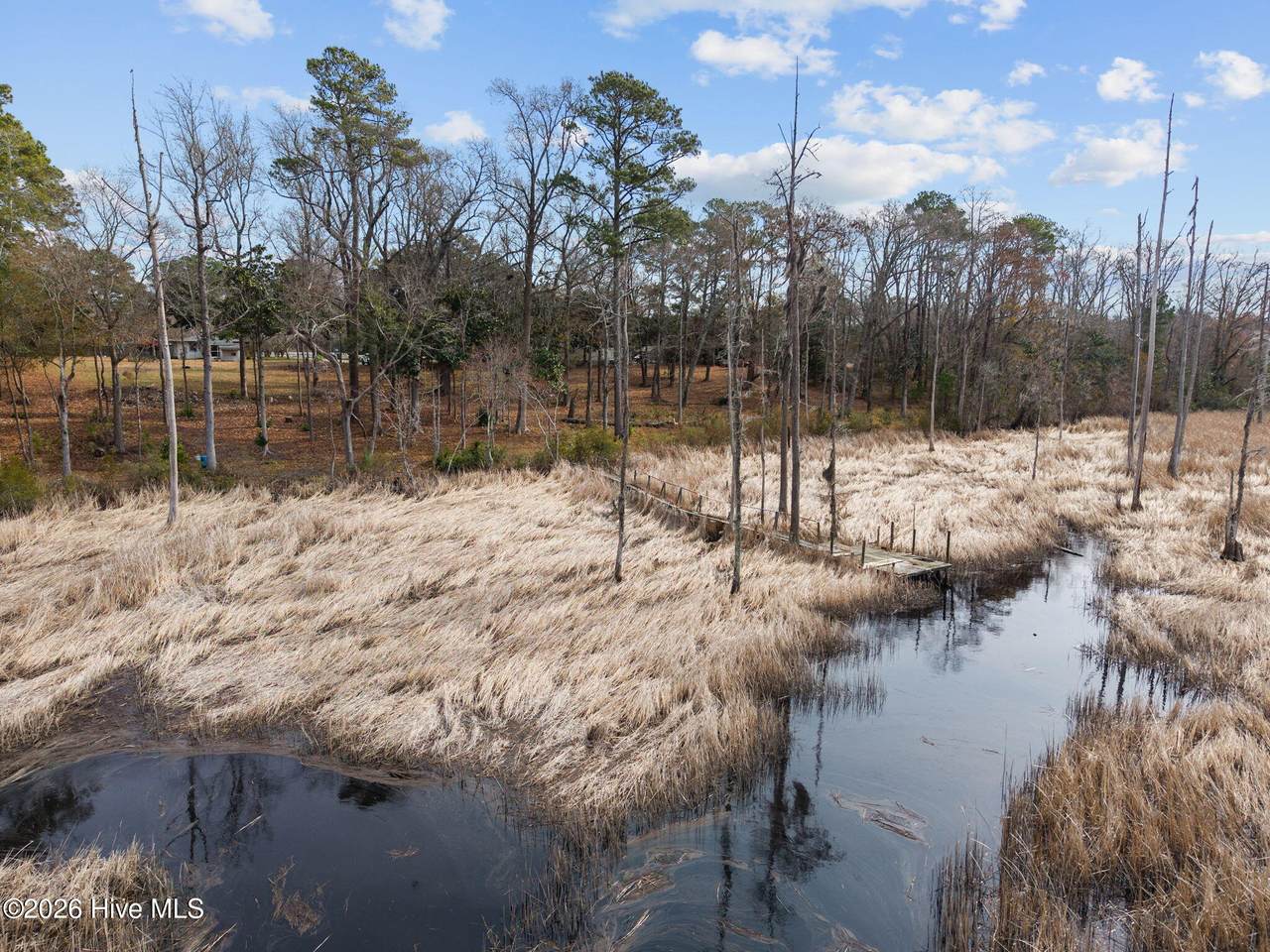 1405 Ness Drive - Photo 1