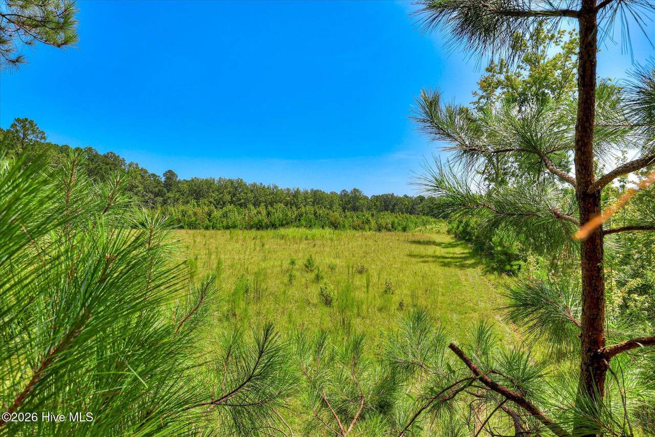 170 Landing Road - Photo 1