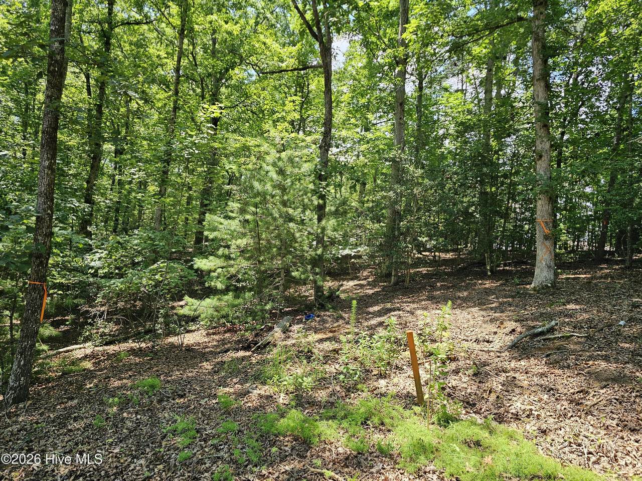 Lot 10 Bobcat Lane - Photo 1