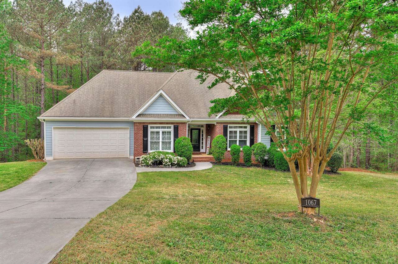 1067 Maiden Cane Way - Photo 1