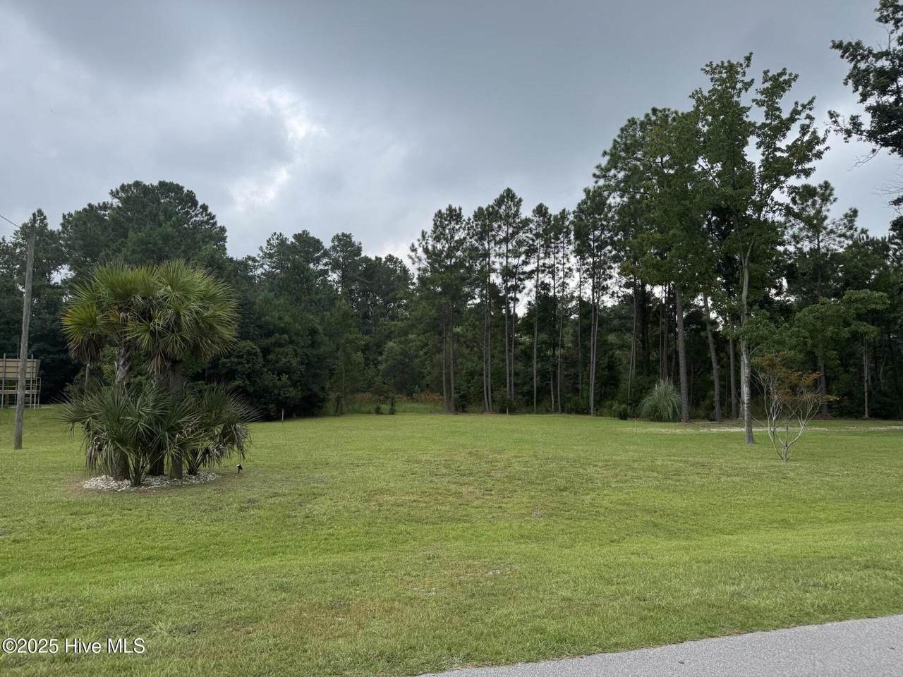 2325 Caracara Drive - Photo 1