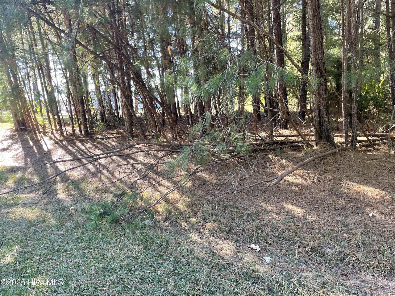 Lot 10 Bethel Creek Lane - Photo 1