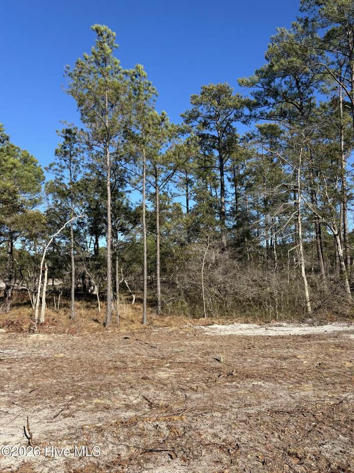 Lot 72 Peninsula Parkway - Photo 1