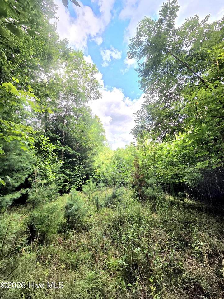 50 Camp Branch Road - Photo 1