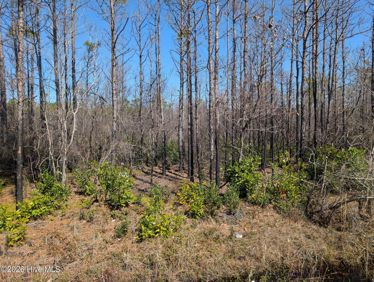 844 Boiling Spring Road - Photo 1