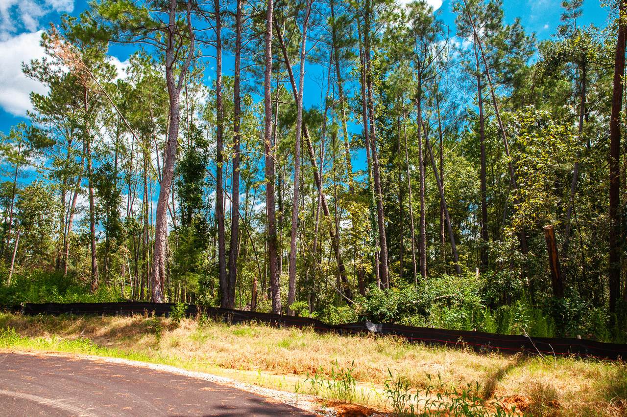 Lot 15 Leyland Court - Photo 1