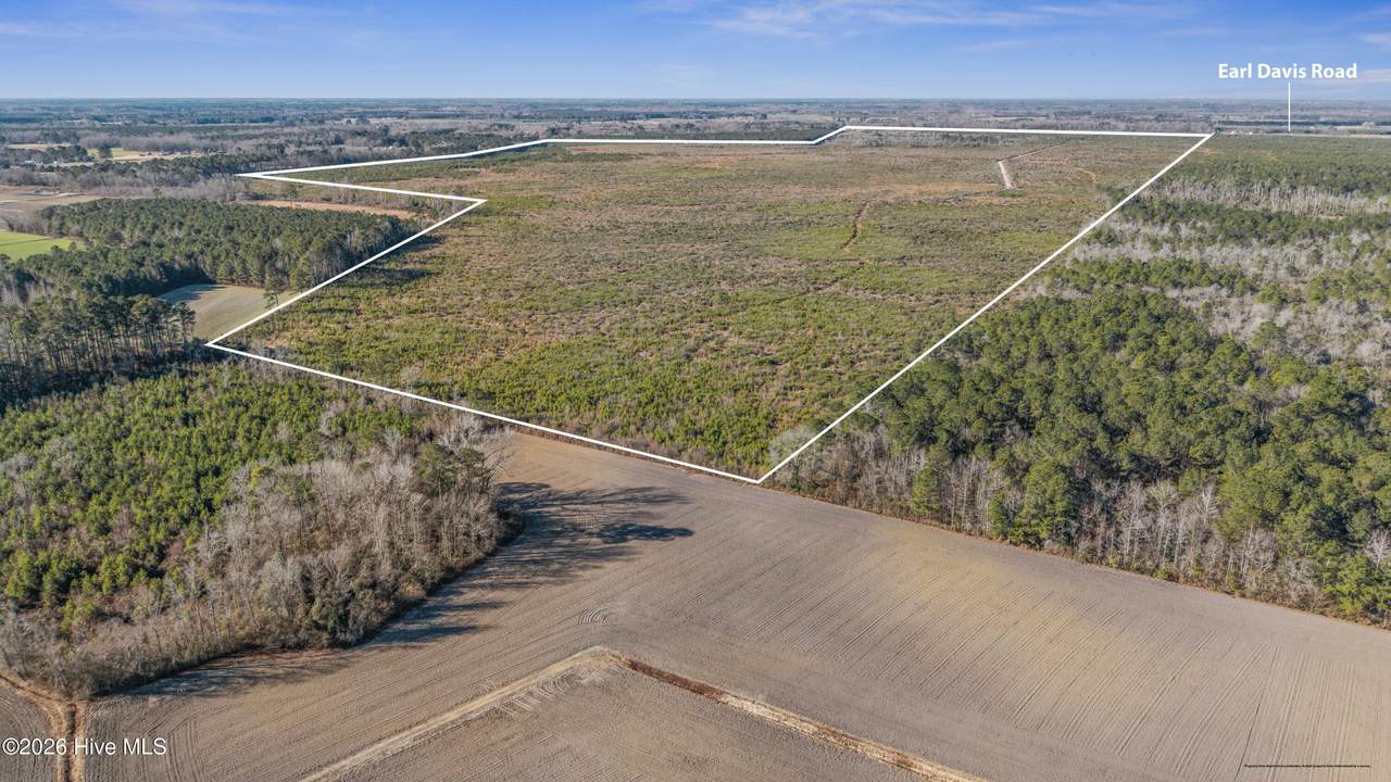 700 Acres Earl Davis Road - Photo 1