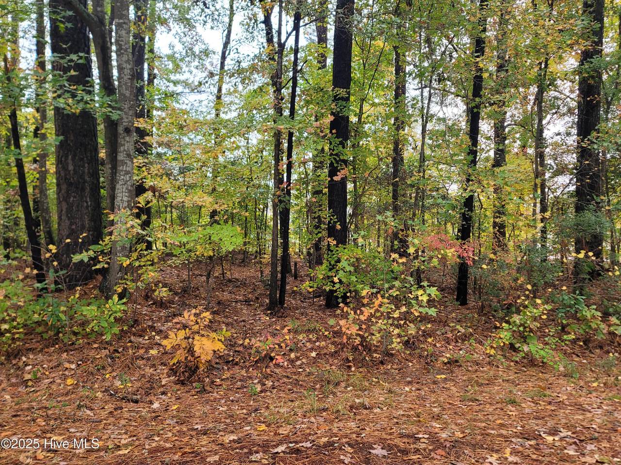 Lot #17 Dogwood Trail - Photo 1