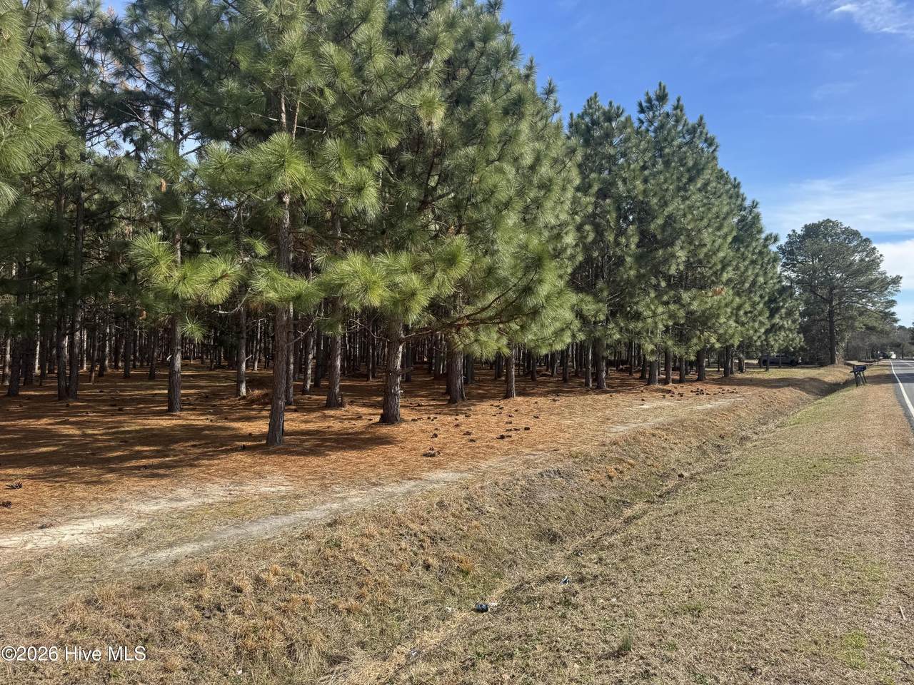 0 Butler Mill Road Road - Photo 1