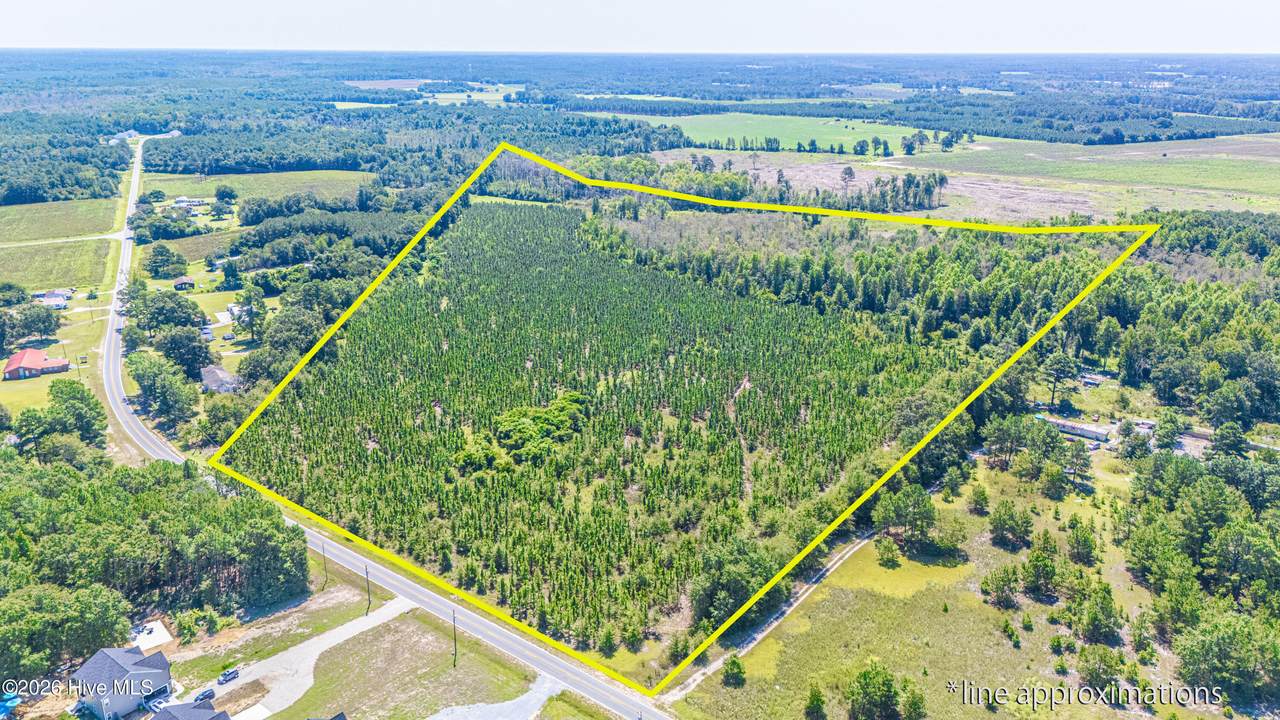 Tbd Blue Springs Road - Photo 1