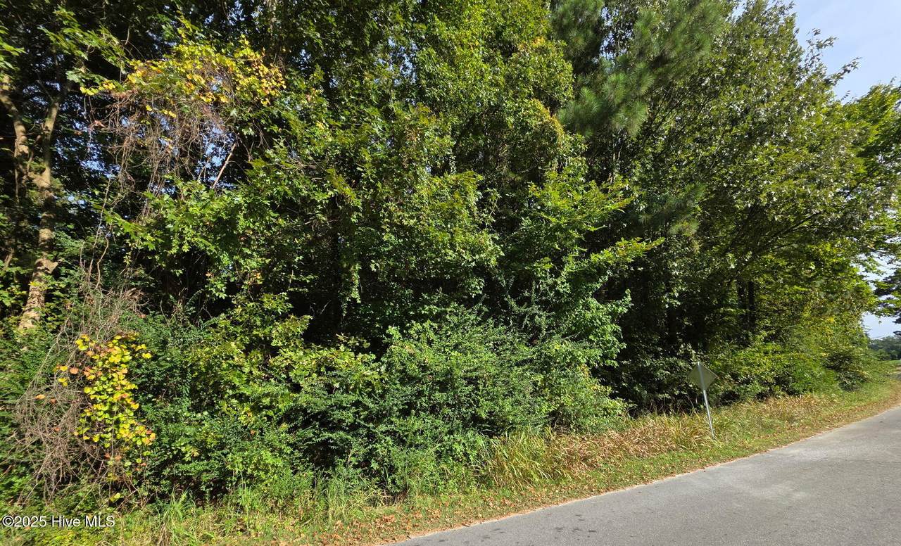 0 Brassie Drive - Photo 1