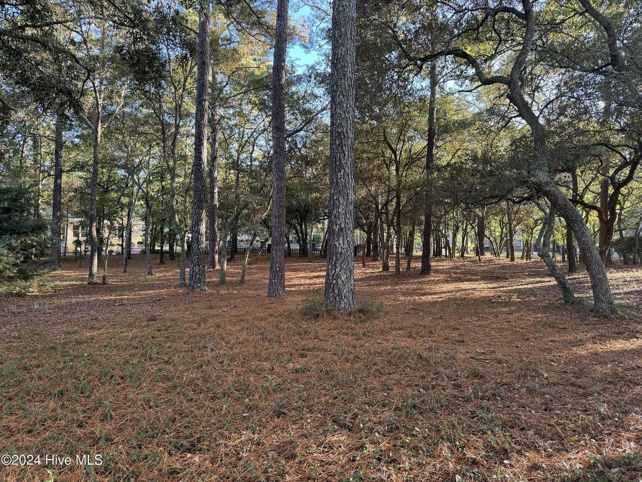 537 Longfellow Place - Photo 1