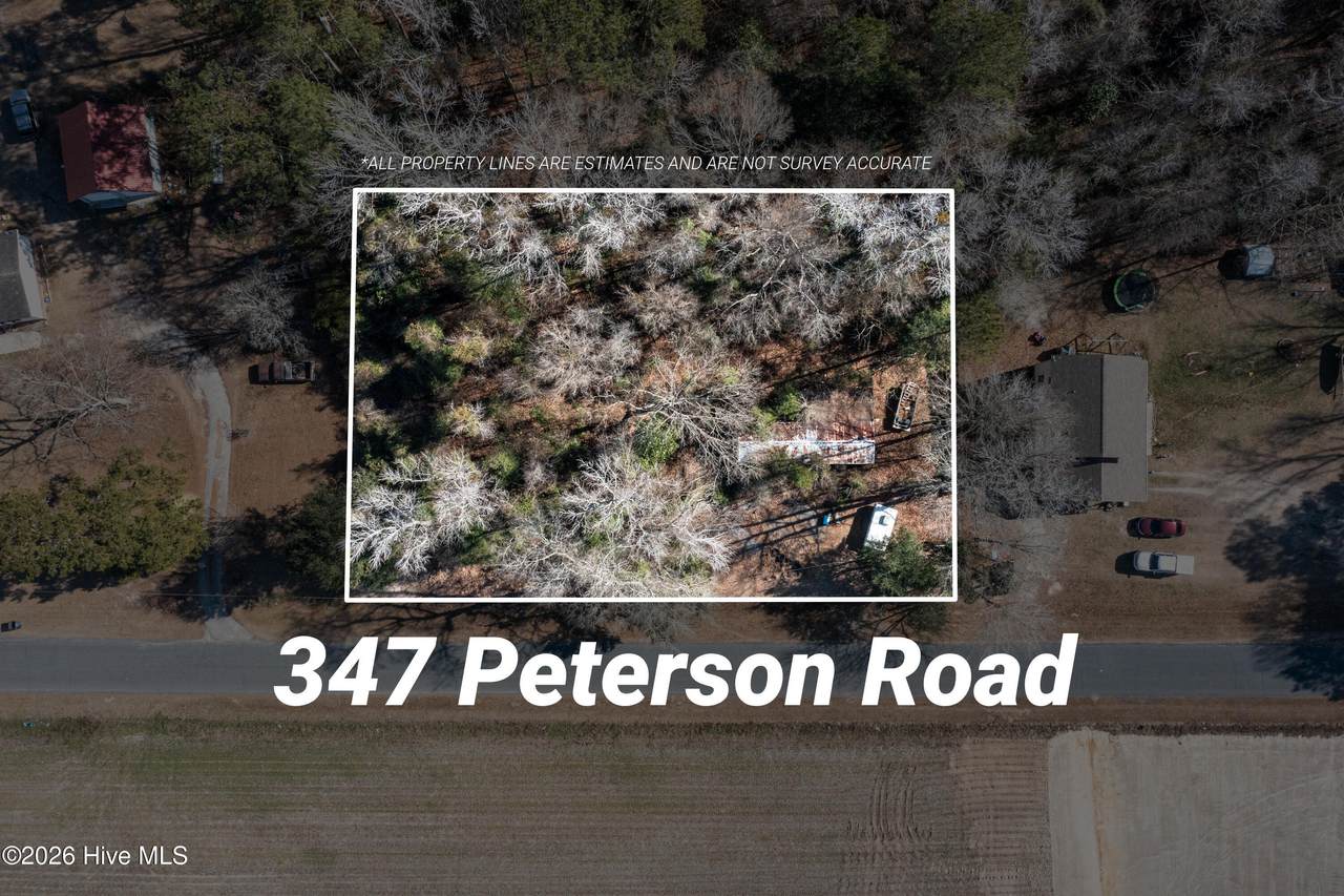347 Peterson Road - Photo 1