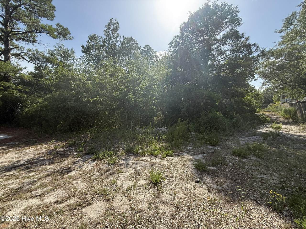 915 Blanche Avenue - Photo 1