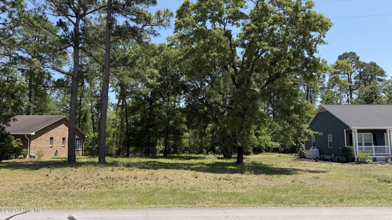 808 Black Swan Road - Photo 1