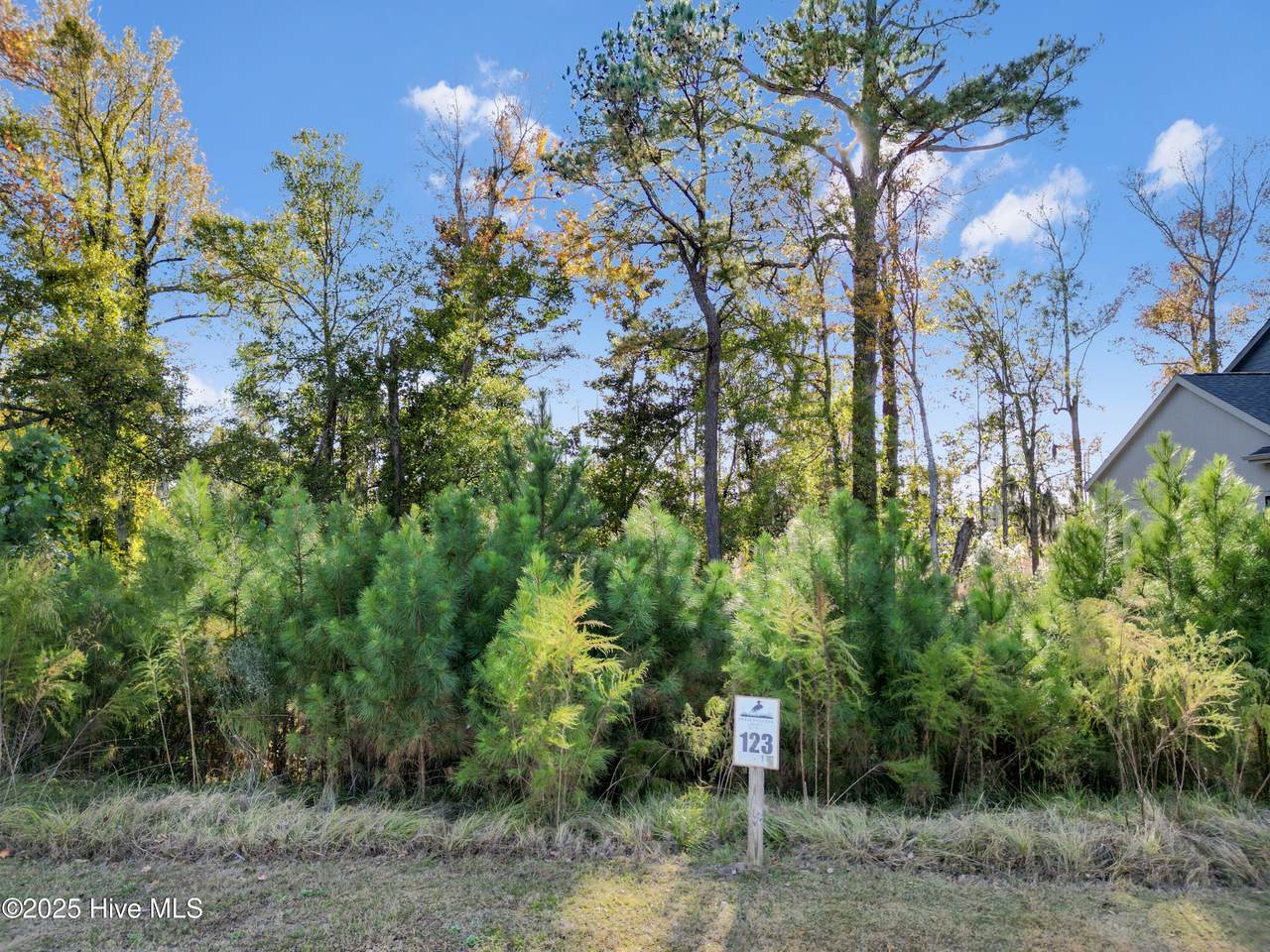 344 Preservation Point Avenue - Photo 1