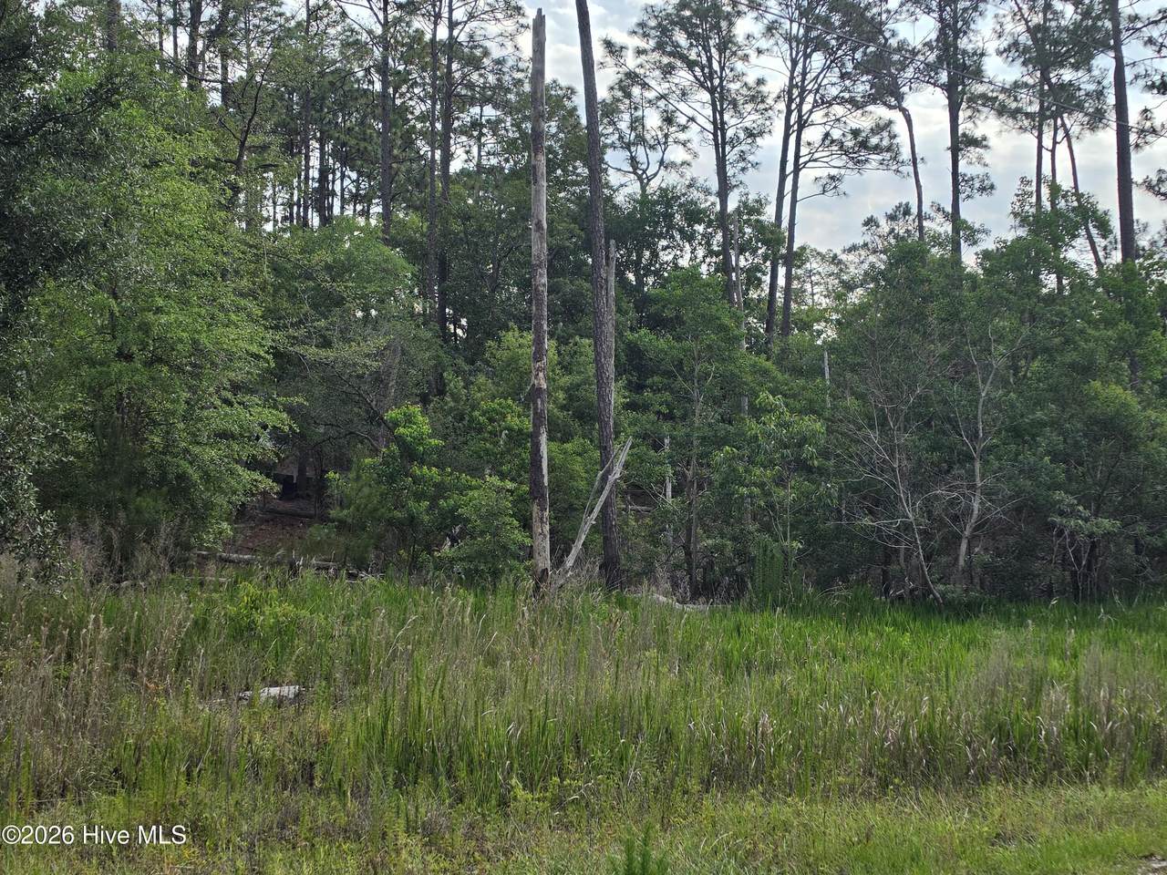 1700 Raeford Road - Photo 1