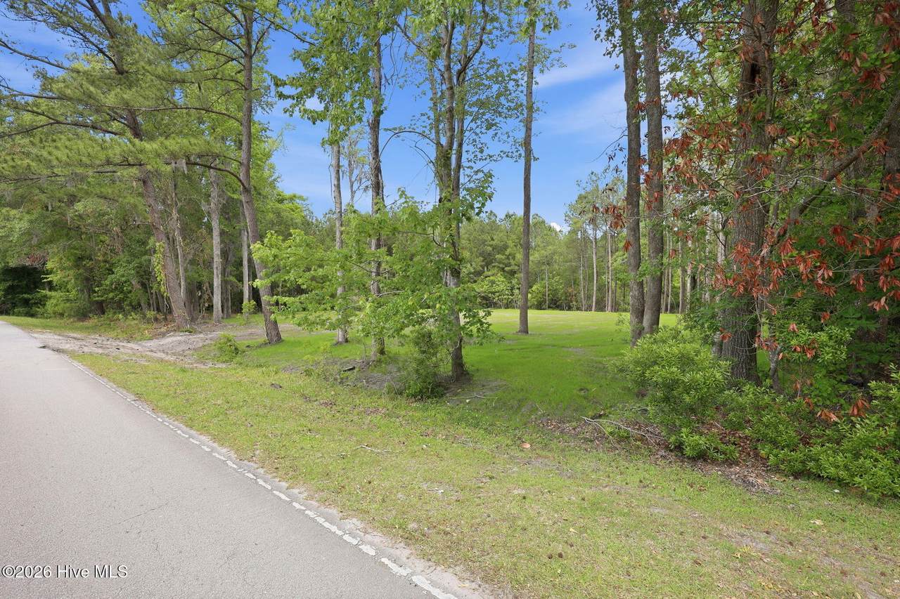 161 Trent Shores Drive - Photo 1