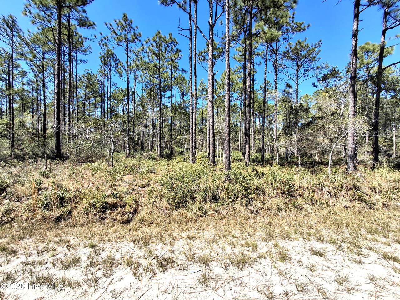Lot 550 Crescent Road - Photo 1