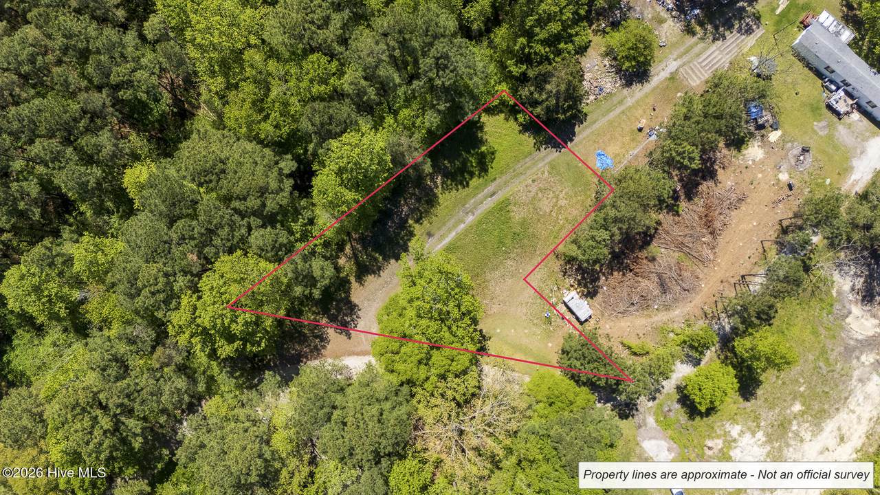 Tract 2 Foy Lockamy Road - Photo 1