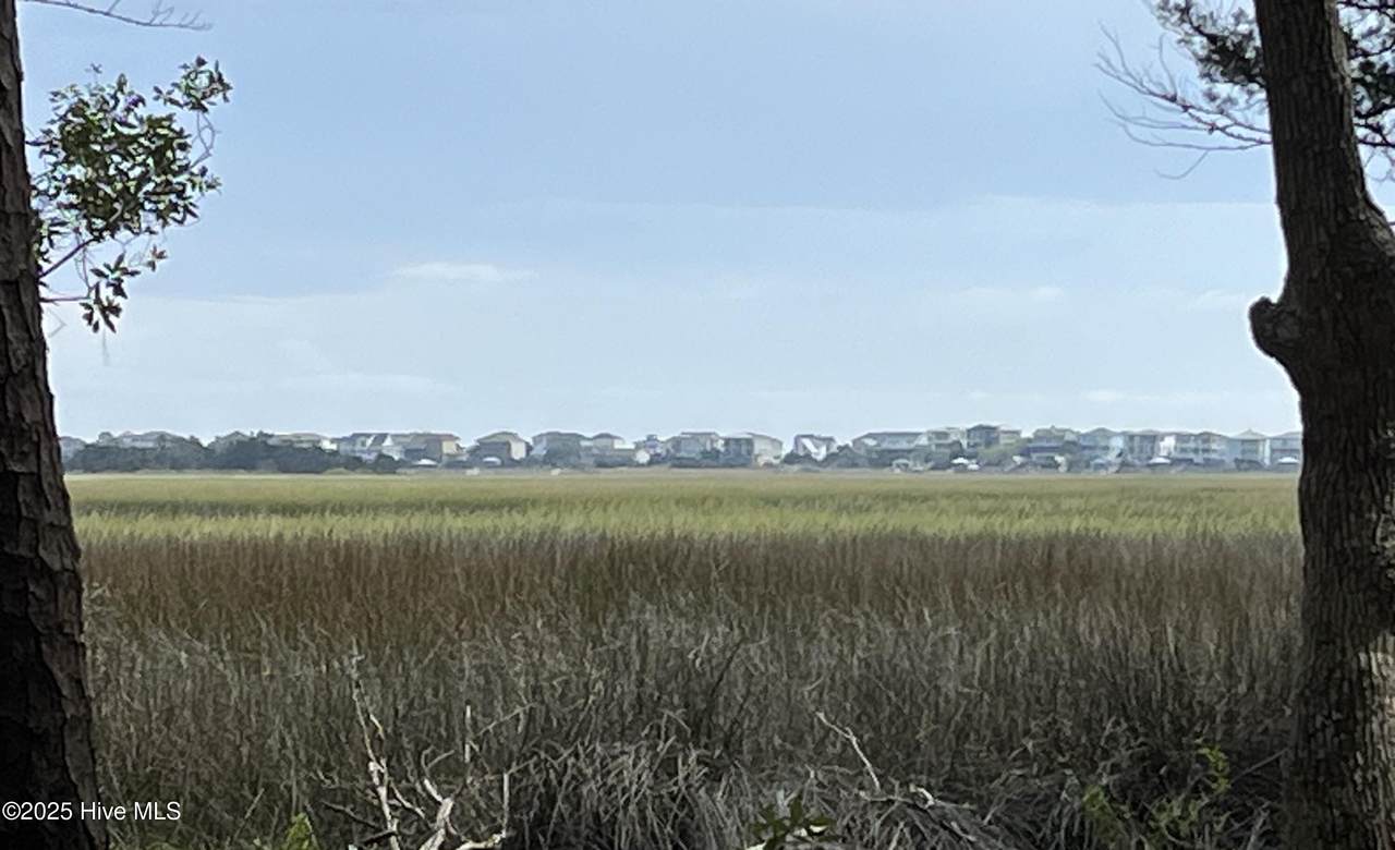 3263 Marsh View Drive - Photo 1