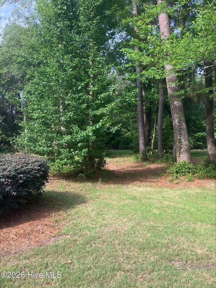 155 Southern Magnolia Lane - Photo 1