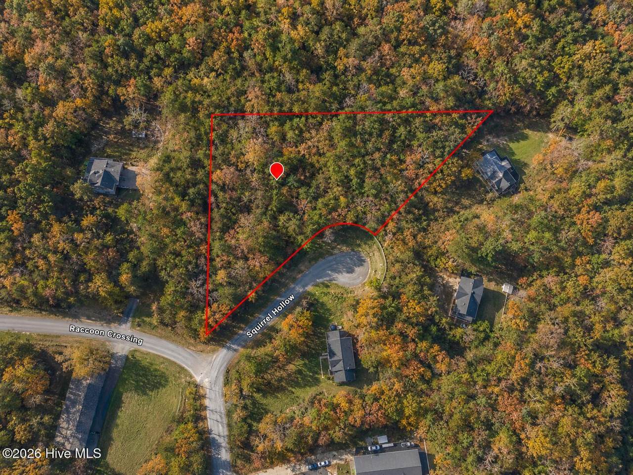 40r Squirrel Hollow - Photo 1