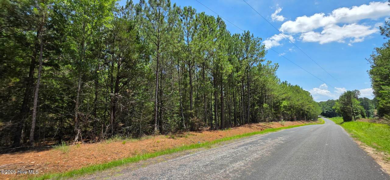 0 Chestnut Ridge Road - Photo 1