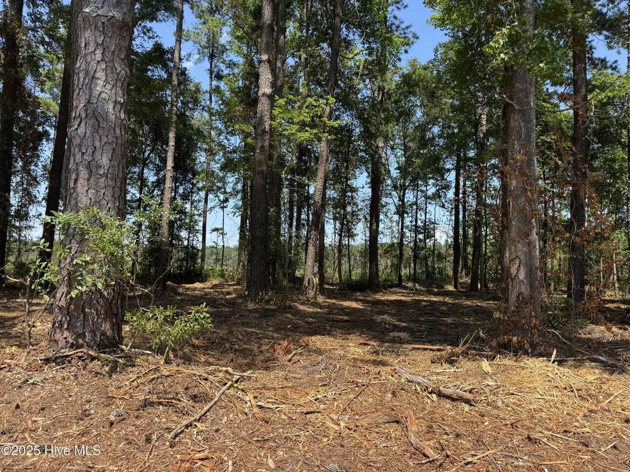 Lot 6 Near 4102 Swamp Fox Highway - Photo 1