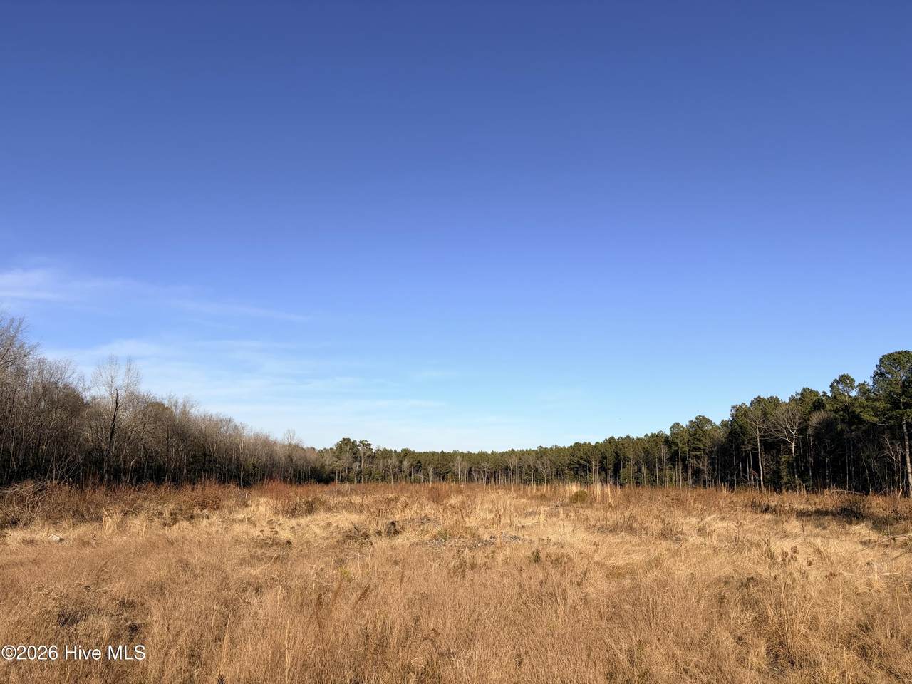 0 Red Oak Boulevard - Photo 1