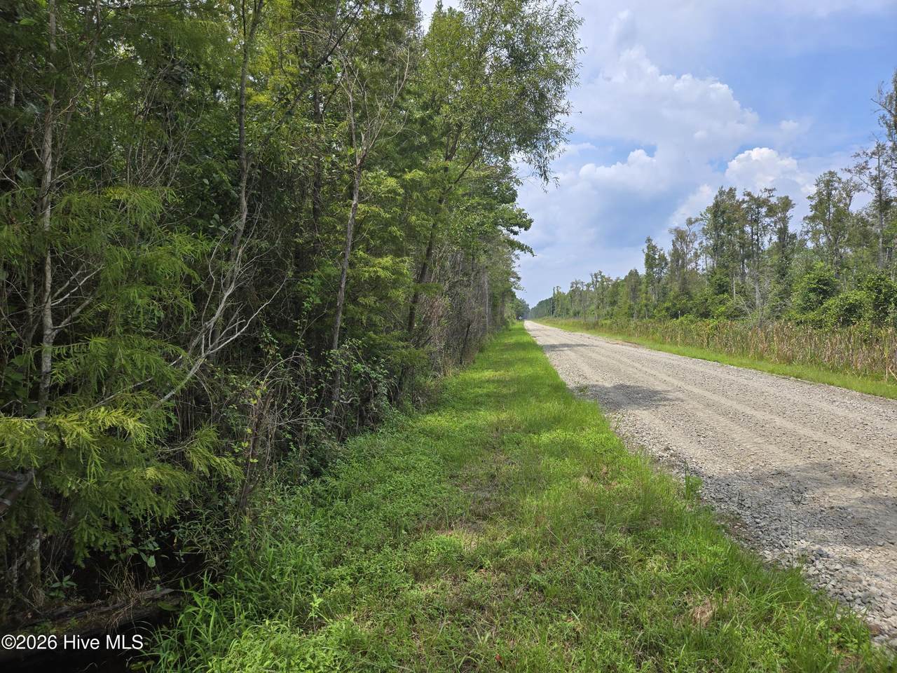 0 Elementary School Road - Photo 1
