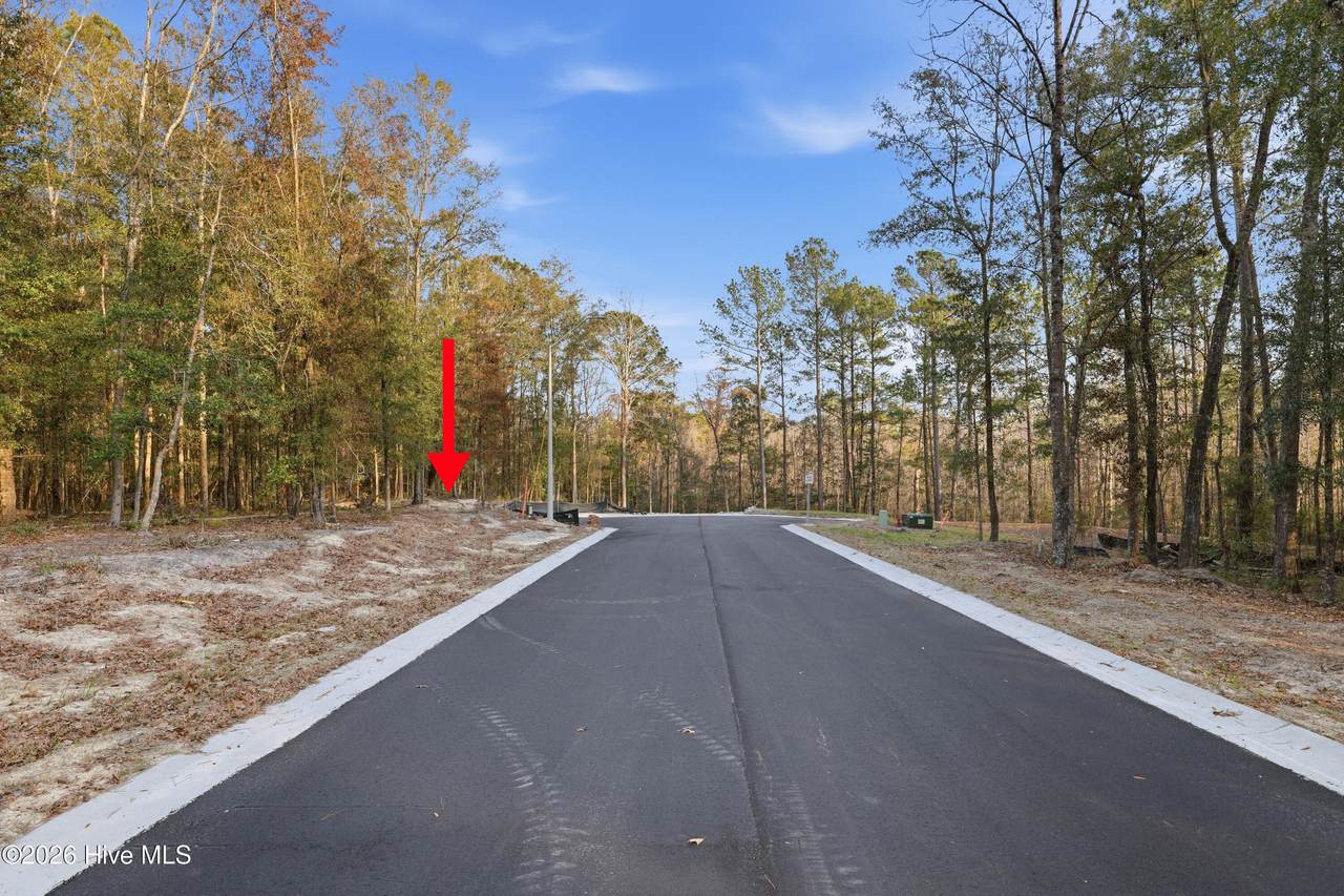 1041 Brooke Ridge Lane - Photo 1