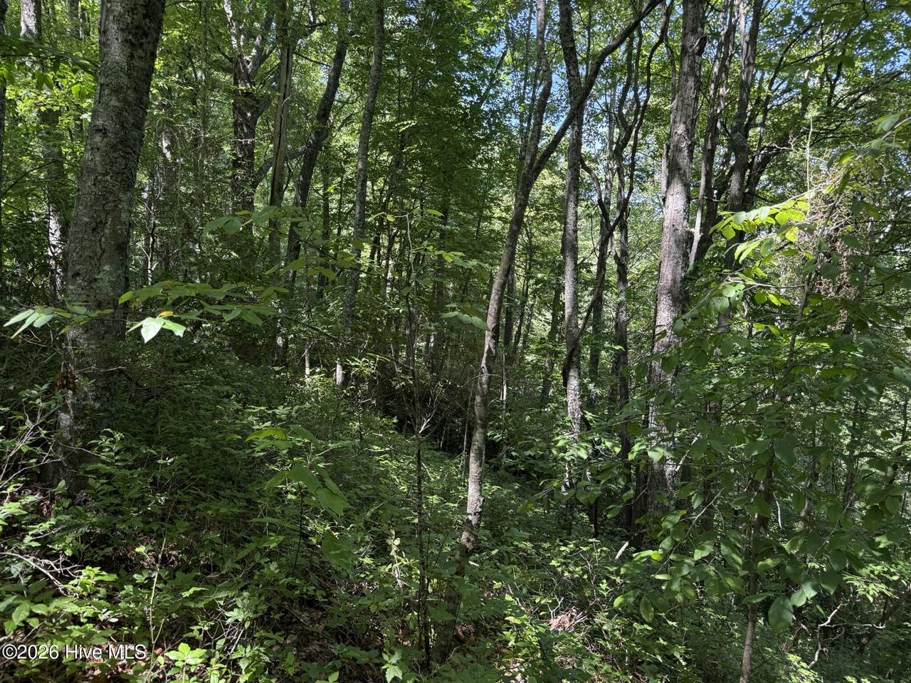 Lot 2 Amber Lane - Photo 1
