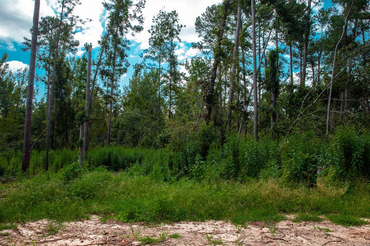 Lot 1 Furey Drive - Photo 1