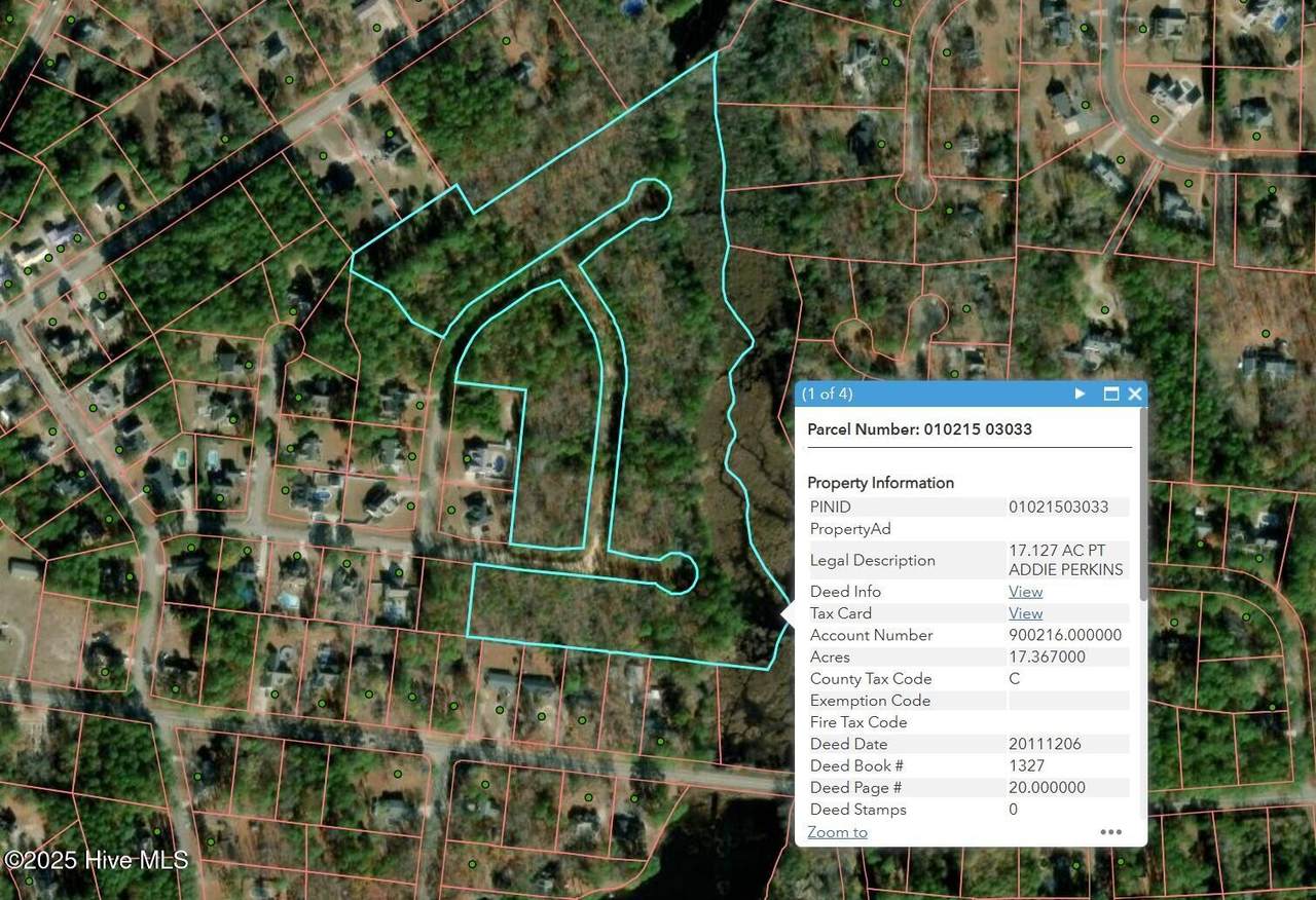 Tbd Brandon Circle - Photo 1