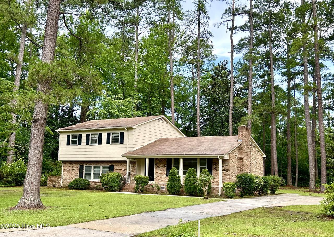 1203 Franklin Avenue - Photo 1