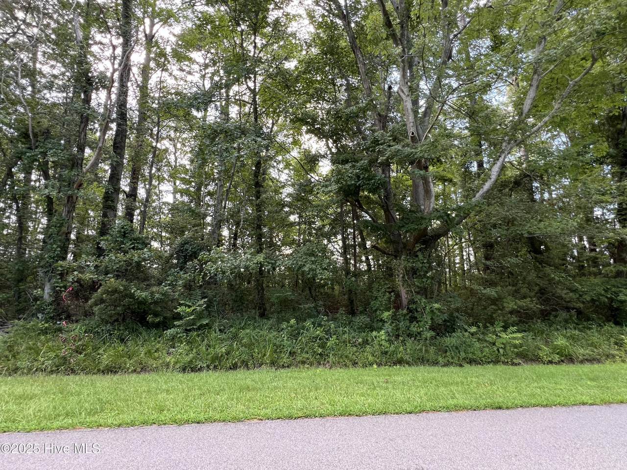 126 Colony Drive - Photo 1