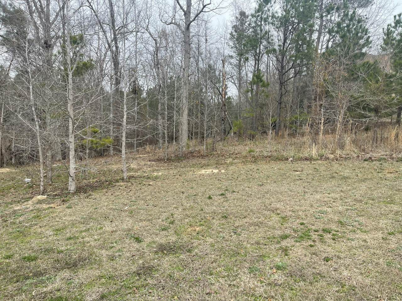 Lot G-46 John Foxs Run - Photo 1