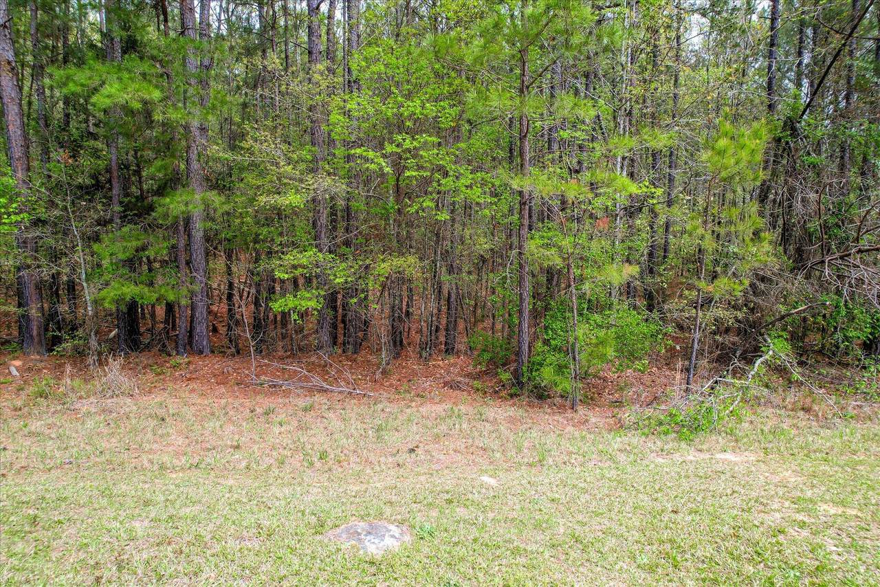 1078 Clinton-Williams Road - Photo 1