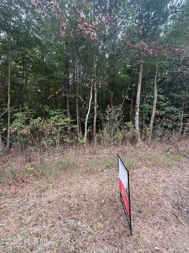 2 Tuggie Eure Road - Photo 1