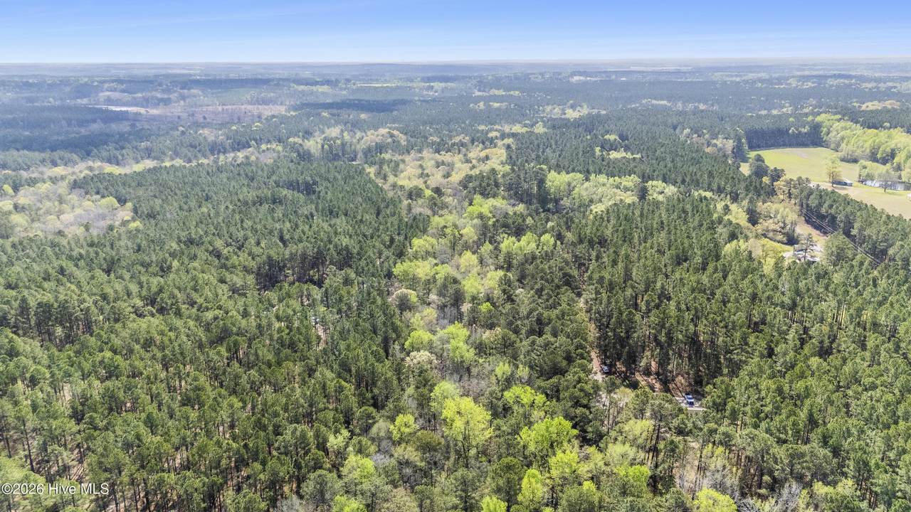 215 Cameron Camp Road - Photo 1