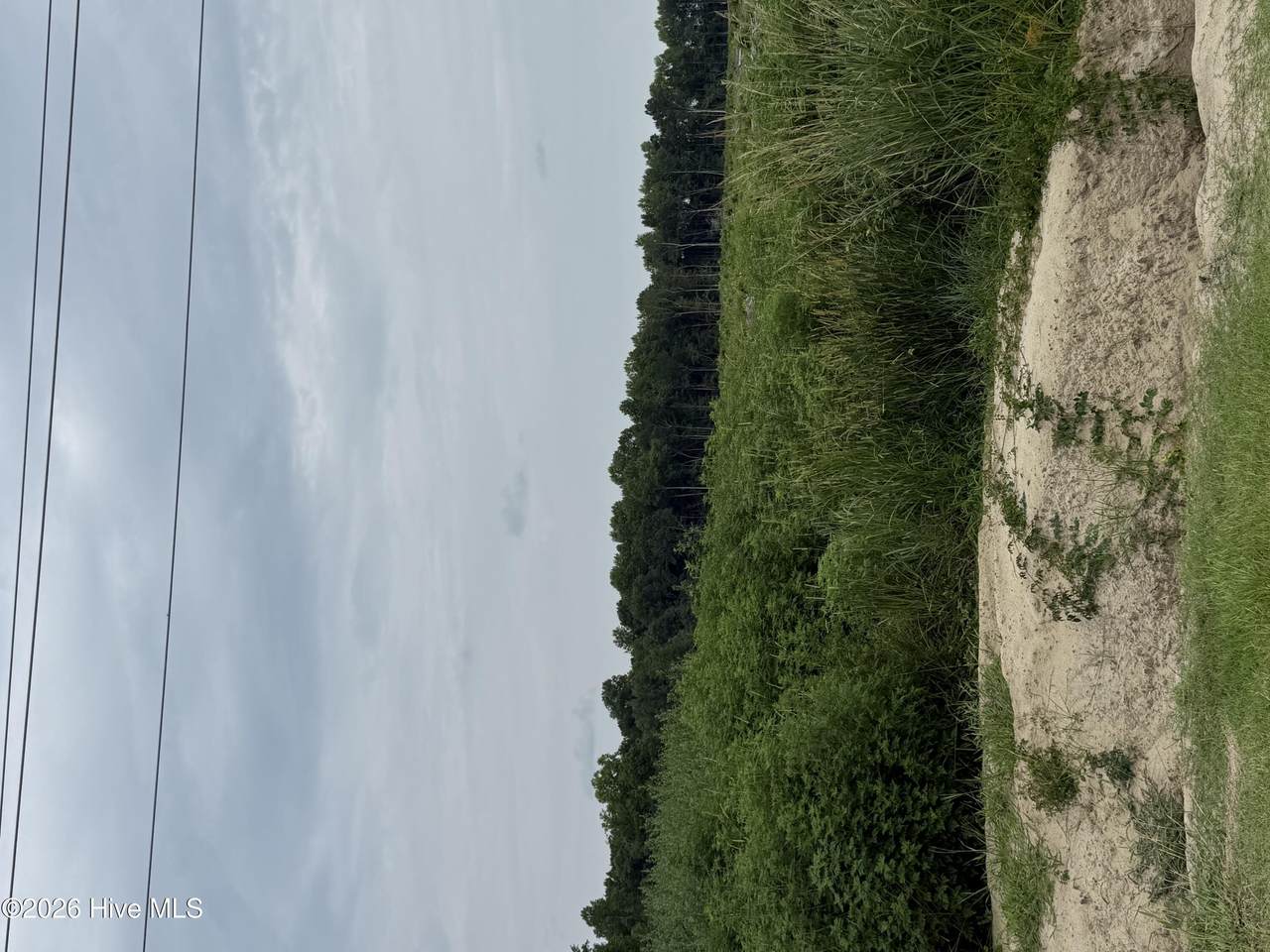 Lot 3 Tbd Haywood Smith Road - Photo 1